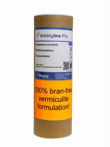 Amblyline CU (Amblyseius cucumeris) Bran-Free Tube of 50,000
