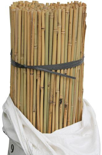 Bamboo Canes 122cm (4') 16-18lbs