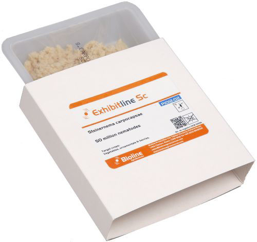 Exhibitline SC (Steinernema carpocapsae) Tray of 50million