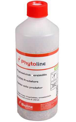 Phytoline P (Phytoseiulus persimilis) Vermiculite 500ml Bottle of 10,000 Mites
