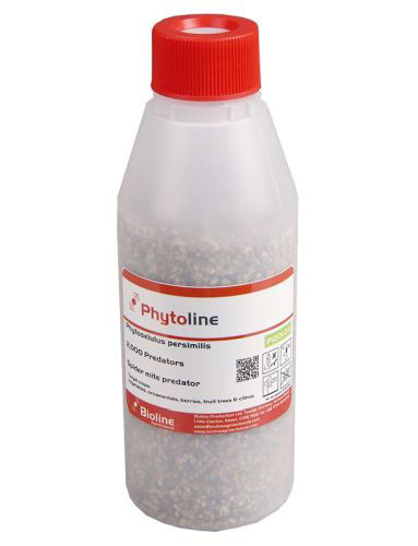 Phytoline P (Phytoseiulus persimilis) Vermiculite 250ml Bottle of 2,000 Mites