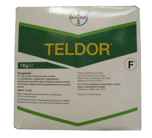 Teldor Fungicide 1kg