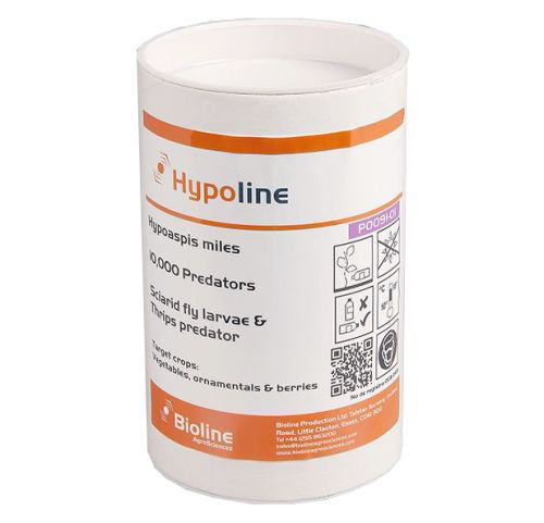 Hypoline M (Hypoaspis miles) Tube of 10,000 Mites