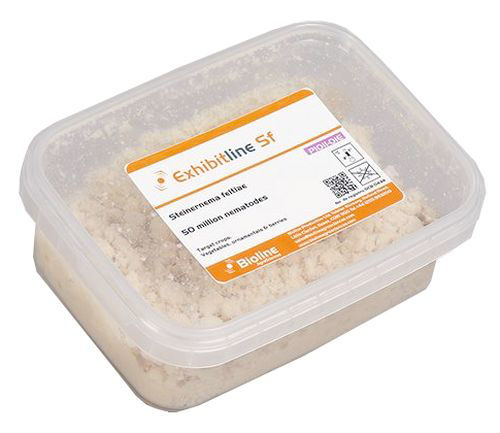 Exhibitline SF (Steinernema feltiae) Tray of 50million