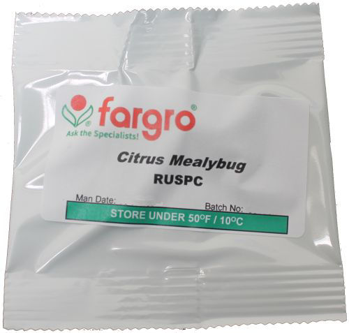 Pheromone Lure Citrus Mealybug