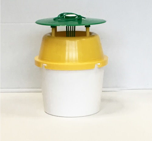 Pheromone Trap Box Tree Moth 1 Trap System