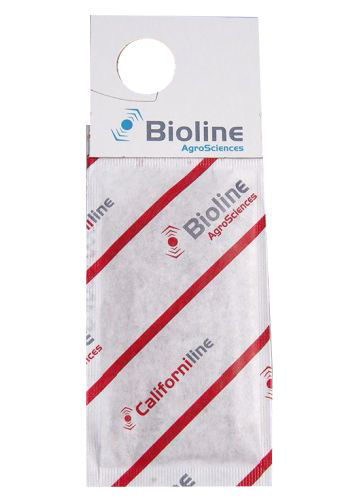 Californiline (Amblyseius californicus) Mini Sachets with Hook x200