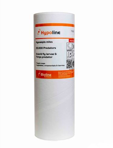 Hypoline M (Hypoaspis miles) Tube of 25,000 Mites
