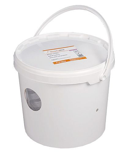 Staphyline AC (Atheta coriaria) Breeder Bucket System