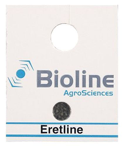 Eretline E (Eretmocerus eremicus) Hanging Card of 50 Pupae x200 (10,000)