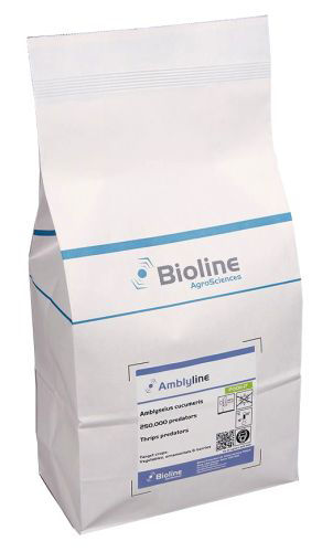 Amblyline CU (Amblyseius cucumeris) Bran-Free 5lt Bag of 250,000