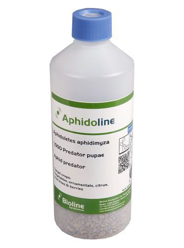 Aphidoline AA (Aphidoletes aphidimyza) Vermiculite Bottle of 1000 Pupae