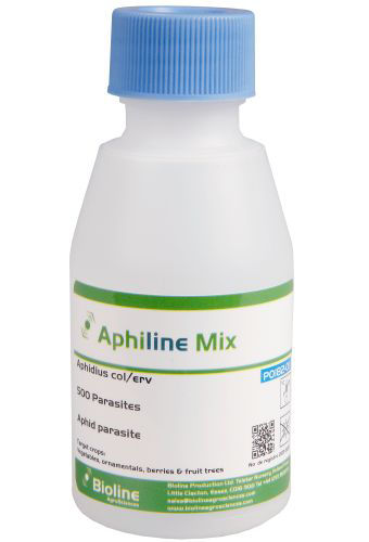 Aphiline CE Mix (Aphidius colemani/ervi) Vial of 500 Mummies/Adults