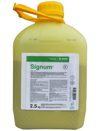 Signum Fungicide 2.5kg