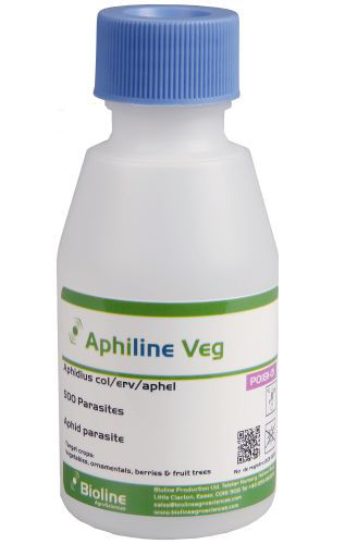 Aphiline ACE Mix (Aphidius colemani/ervi/aphelinus) Vial of 500 Mummies/Adults