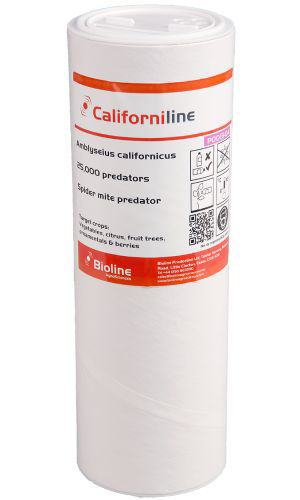 Californiline (Amblyseius californicus) Tube of 25,000