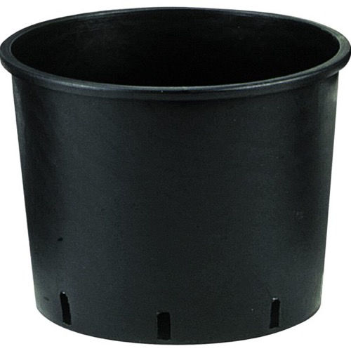 Serie Bassa Container Heavy Duty Squat 25lt - Black