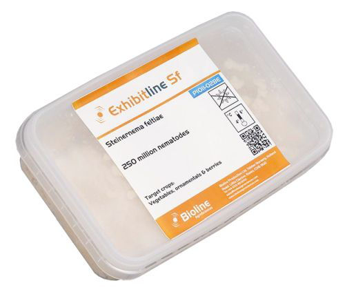 Exhibitline SF (Steinernema feltiae) Box of 250million