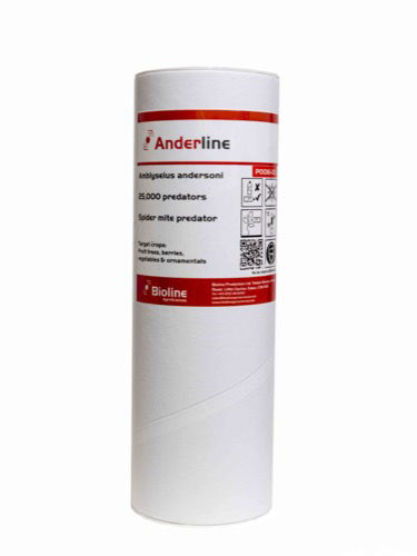 Anderline AA (Amblyseius andersoni) Tube of 25,000