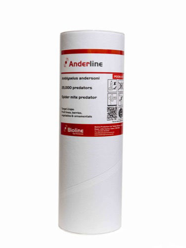 Anderline (Amblyseius andersoni) Tube of 25,000